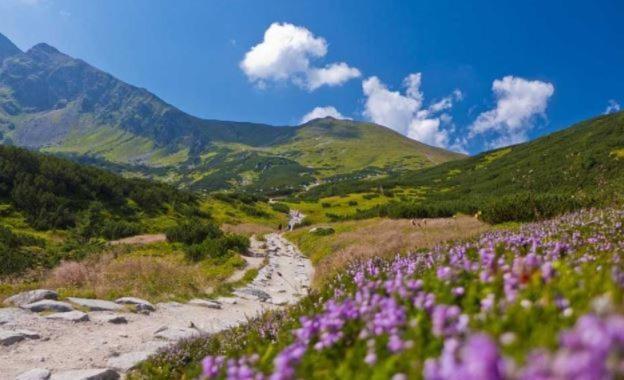House Hanka, High Tatras Stará Lesná Kültér fotó
